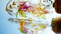 https://images.plurk.com/4TWPxohOIvnc3tN8dfvbMT.jpg