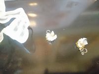 https://images.plurk.com/4TYexabcB5Cl9lKQT7vHMc.jpg