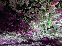 https://images.plurk.com/4TgFwohV9nyhlduKebVmlW.jpg