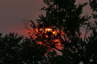 https://images.plurk.com/4Tisgb9OKZoEKuGLp1Usor.jpg