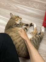 https://images.plurk.com/4TtJMTpFrZ8Zx76Fo1Ct4t.jpg