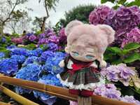 https://images.plurk.com/4UFEN957sFY1jw9DAcUQn8.jpg