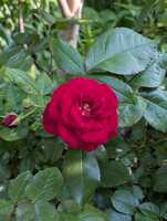 https://images.plurk.com/4UHD2MVTzU4gF230QklsTq.jpg