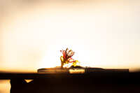 https://images.plurk.com/4UQm4X8b0r9DCQAoaDuUSD.jpg