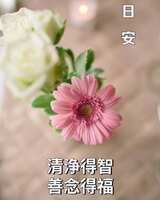 https://images.plurk.com/4UVs7aG6tCpmnS5Ygw9pLr.jpg