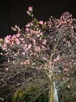 https://images.plurk.com/4UdMDenWTWZV9gHsJtYREm.jpg