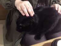https://images.plurk.com/4UrKl667NcXNmpey4msqrB.png