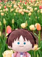 https://images.plurk.com/4UwrW1rbrwWe2Y11tyBpL9.jpg