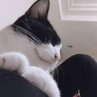 https://images.plurk.com/4UzW4IqbSUekzQZU34AJ61.jpg
