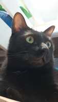 https://images.plurk.com/4Uzhyyj94ide6LQRhUp65N.jpg