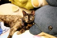 https://images.plurk.com/4V4gMZsCSu1AoB27jvyo.jpg