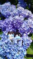 https://images.plurk.com/4V5Q9bedUYzh7hXAdYQj3C.png