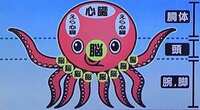 https://images.plurk.com/4V6toRDscaTAoEkQypiQXD.png