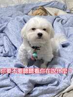 https://images.plurk.com/4V7KsTuSOdtjxD6dIIbBnN.jpg