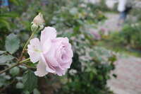 https://images.plurk.com/4V9awwSWrkdZvuzRxf2wJL.jpg