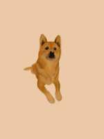 https://images.plurk.com/4VCVb6hFLyikpEf9lPZ8Q2.png