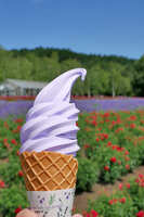 https://images.plurk.com/4VDn6pYgvW1fq7xcmz3snE.jpg