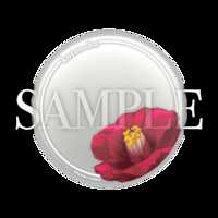 https://images.plurk.com/4VMZnGHgfnyGMXr8EjjuBZ.png