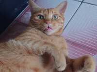 https://images.plurk.com/4VgXks9AcpMftrOtQ3iahf.jpg