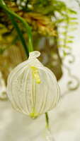 https://images.plurk.com/4ViA2mXLRGhwbK0Tim6vXD.jpg
