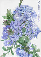 https://images.plurk.com/4VlpQ5d85aMvhsV6SW2eUe.jpg