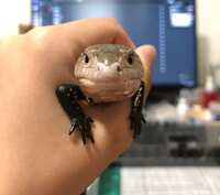https://images.plurk.com/4VnfxrV6yrlbFtNQE6S88C.jpg