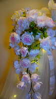 https://images.plurk.com/4VvwAdMR1IkyFjj66lCQye.jpg
