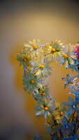 https://images.plurk.com/4W2GStHnG0w6Ed7ivowsyM.jpg