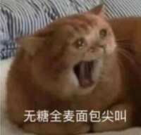 https://images.plurk.com/4WBXnc923QDjqGp2Hda8J7.jpg
