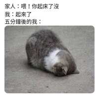 https://images.plurk.com/4WEMObQFietGNgg5gUe9QP.jpg