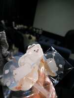 https://images.plurk.com/4WKVIuKrC74ltiWDkInDnq.jpg