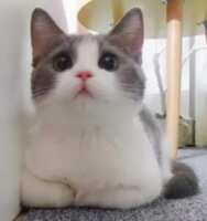 https://images.plurk.com/4WM2uhMXISDh8qelKYFn3i.png