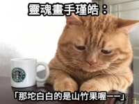 https://images.plurk.com/4WOXnYdGbMURXfjiSzKKJV.png