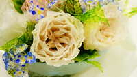 https://images.plurk.com/4WPLRXRHcT4SKTYEMn3TkR.jpg