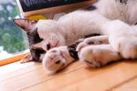 https://images.plurk.com/4WR9TWE6ksqWhykSQHYBLj.jpg