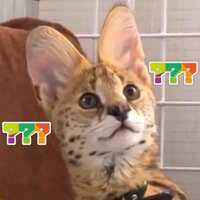 https://images.plurk.com/4WYimuiJq0yUhDwZkqdGL3.jpg
