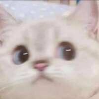 https://images.plurk.com/4WcgXXF90AGTSB9ReA8CN2.jpg