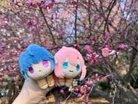 https://images.plurk.com/4WejNenWPUw3AuXGfTbtc9.jpg
