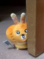 https://images.plurk.com/4Wgoi9Yj26bXEQkmrTWmsq.png