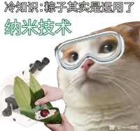 https://images.plurk.com/4WjZq2dLeJBLQKVrTBQI9X.jpg
