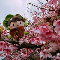 https://images.plurk.com/4WnLAWR81CS3OrvnhBdKWu.jpg