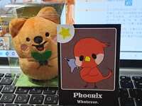 https://images.plurk.com/4WzeMurdob8cKEGdiewzhB.png