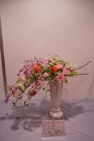 https://images.plurk.com/4X2TPY5cu0MHJ7Hx4kWFVL.jpg