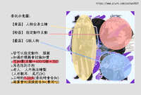 https://images.plurk.com/4XLpkYrWWwMlZGJvk48oqN.jpg