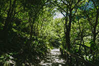 https://images.plurk.com/4XV613WApJtXW7SrsDglI0.jpg