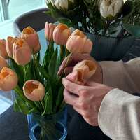 https://images.plurk.com/4XYHCoEyp4FOsmmRTEDoAA.jpg
