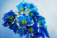 https://images.plurk.com/4XZHlR2Y94qMKtqp1NetFz.jpg