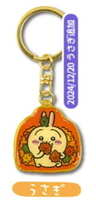 https://images.plurk.com/4XfiurcAwldl4IbohgovYe.jpg