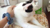 https://images.plurk.com/4Y8DYZnAOWGSuVsV3yHDIR.jpg