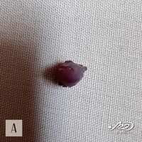 https://images.plurk.com/4YOBBxg4N4kDildKNtbJwM.jpg